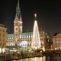 0543_4267 Lichterbaum zu Weihnachten vor dem Hamburger Rathaus; Kleine Alster. | Adventszeit - Weihnachtsmarkt in Hamburg - VOL.1